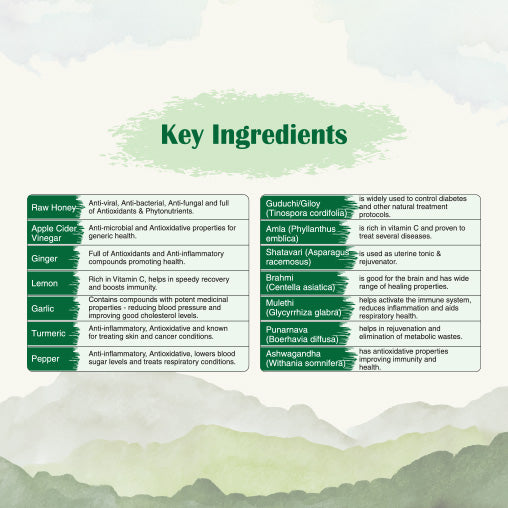 BeingMount Immune Shakti Ayurvedic Immunity Booster Shots Pack of 7 (20 ml Each)