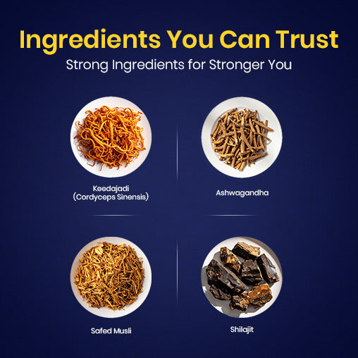 BeingMount Keedajadi Gold+ Capsules for Men | Ayurvedic Vitality & Performance Support (4 cap.)