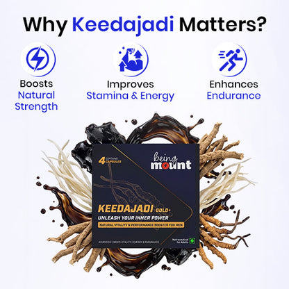 BeingMount Keedajadi Gold+ Capsules for Men | Ayurvedic Vitality & Performance Support (4 cap.)